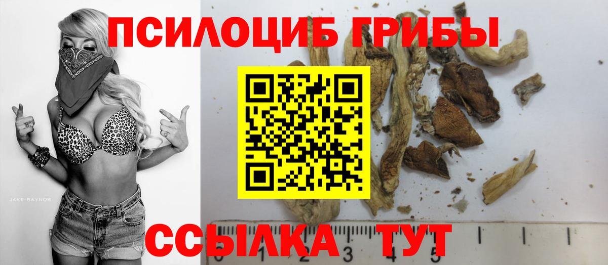 Галлюциногенные грибы прущие грибы Каменск-Уральский